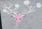 Near C the Rosemount Centre, 1 Mount St, Aberdeen AB25 2RA, UK