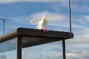 Near Beach Boulevard, Aberdeen AB24 5NR, UK